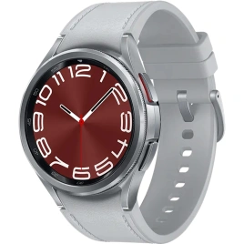 Смарт-часы Samsung Galaxy Watch6 Classic 43 mm SM-R950 Silver