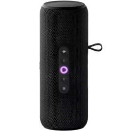 Портативная колонка Яндекс Станция Стрит Черный