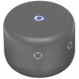 Умная колонка Яндекс Станция Лайт 2, Серый