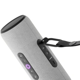 Портативная колонка Яндекс Станция Стрит Серый