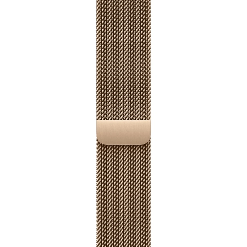 Смарт-часы Apple Watch Series 11 46mm Gold Titanium Case with Gold Milanese Loop M/L фото 3
