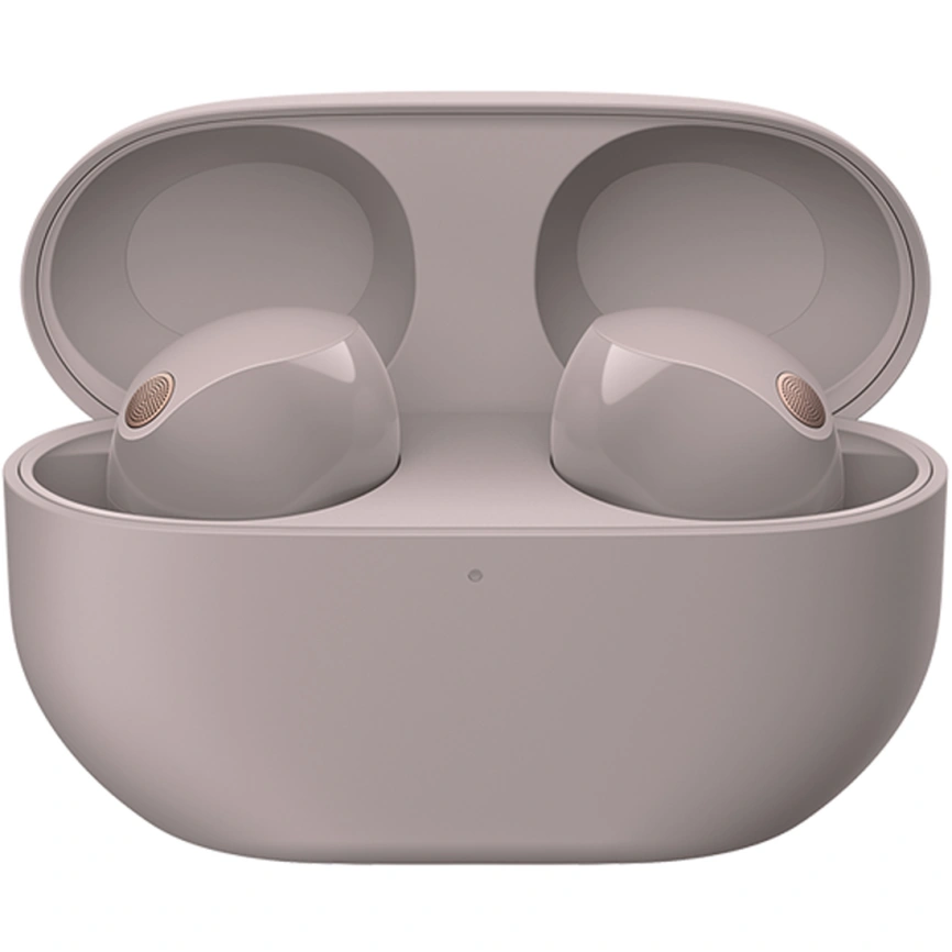 Наушники Sony WF-1000XM5 Smoky Pink фото 4