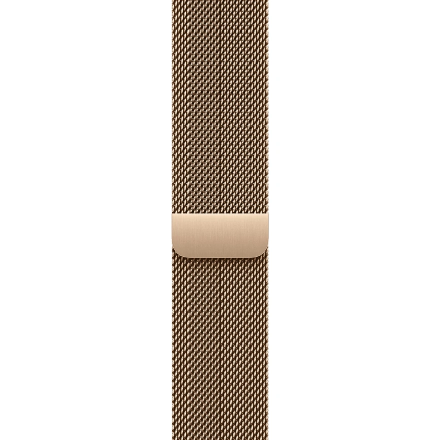 Смарт-часы Apple Watch Series 11 42mm Gold Titanium Case with Gold Milanese Loop фото 3