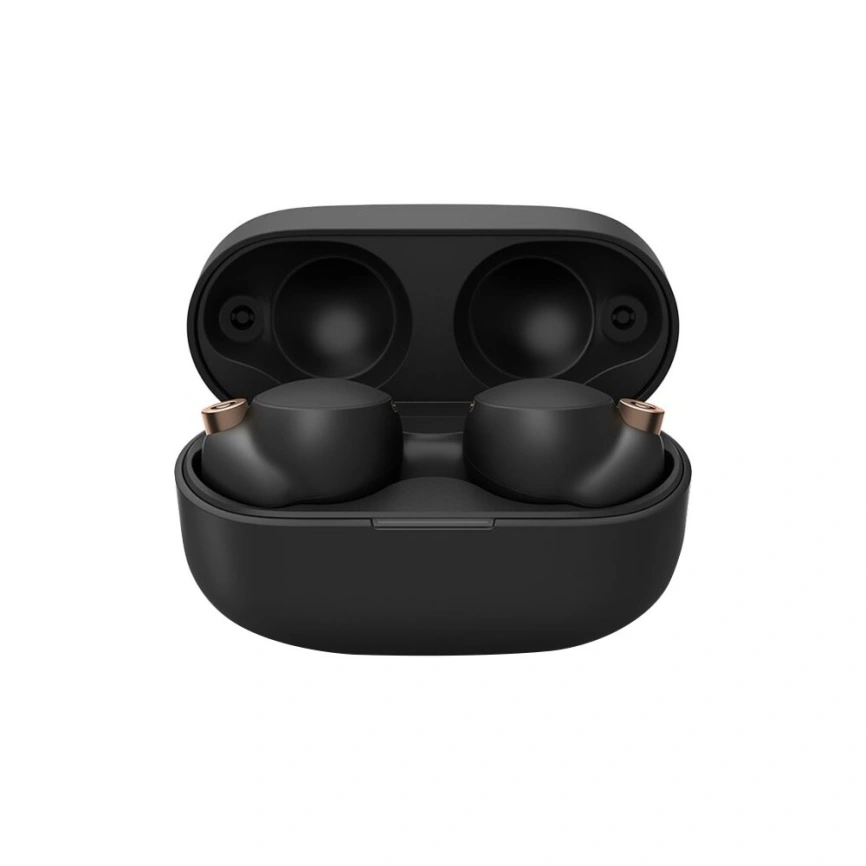 Наушники Sony WF-1000XM4 Black фото 1