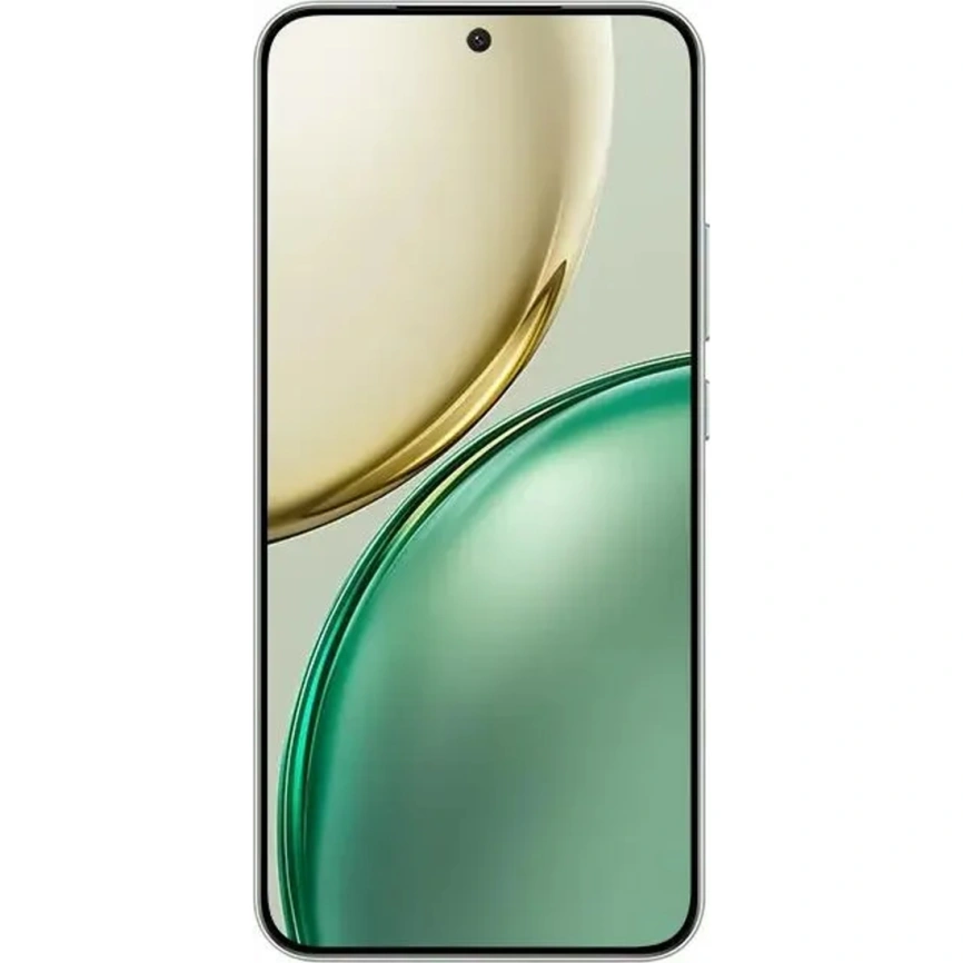 Смартфон Honor X9d 8/256Gb Forest Green фото 7