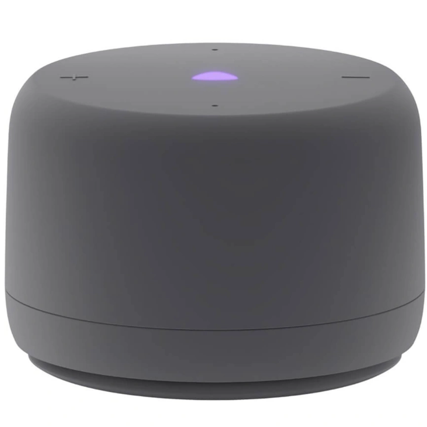 Умная колонка Яндекс Станция Лайт 2 (без часов) Графит фото 1