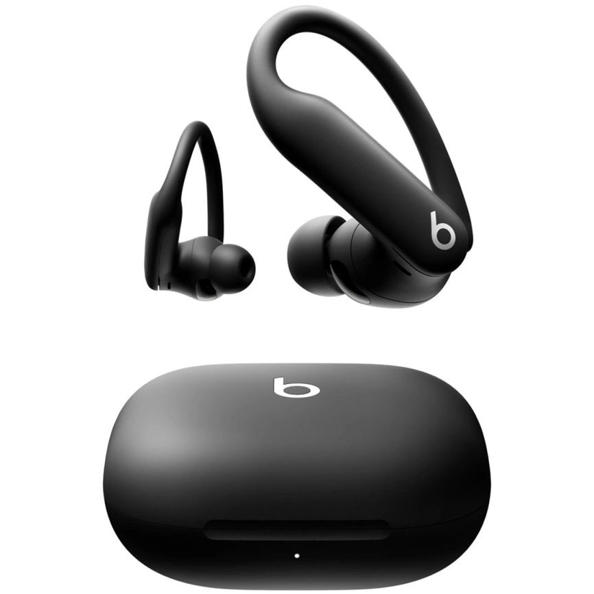 Наушники Beats Powerbeats Pro 2 Jet Black фото 1