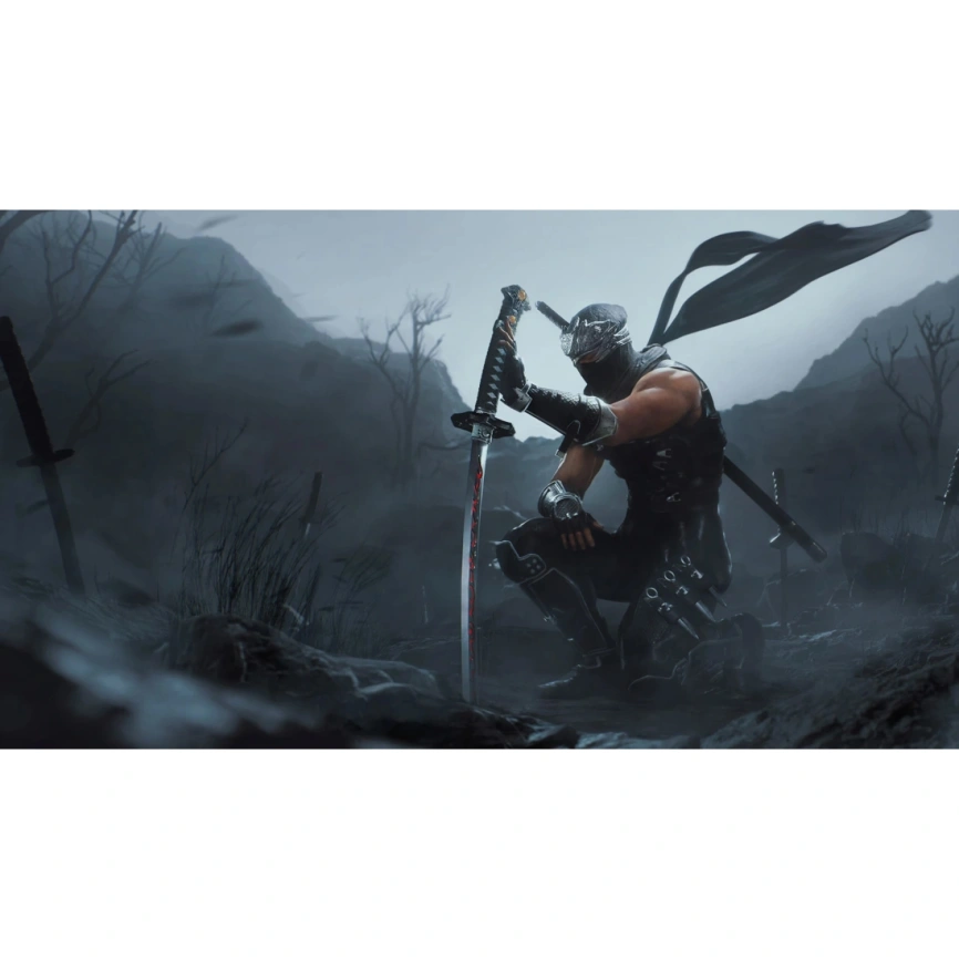 Игра Sony Ninja Gaiden 2 Black (PS5) фото 2