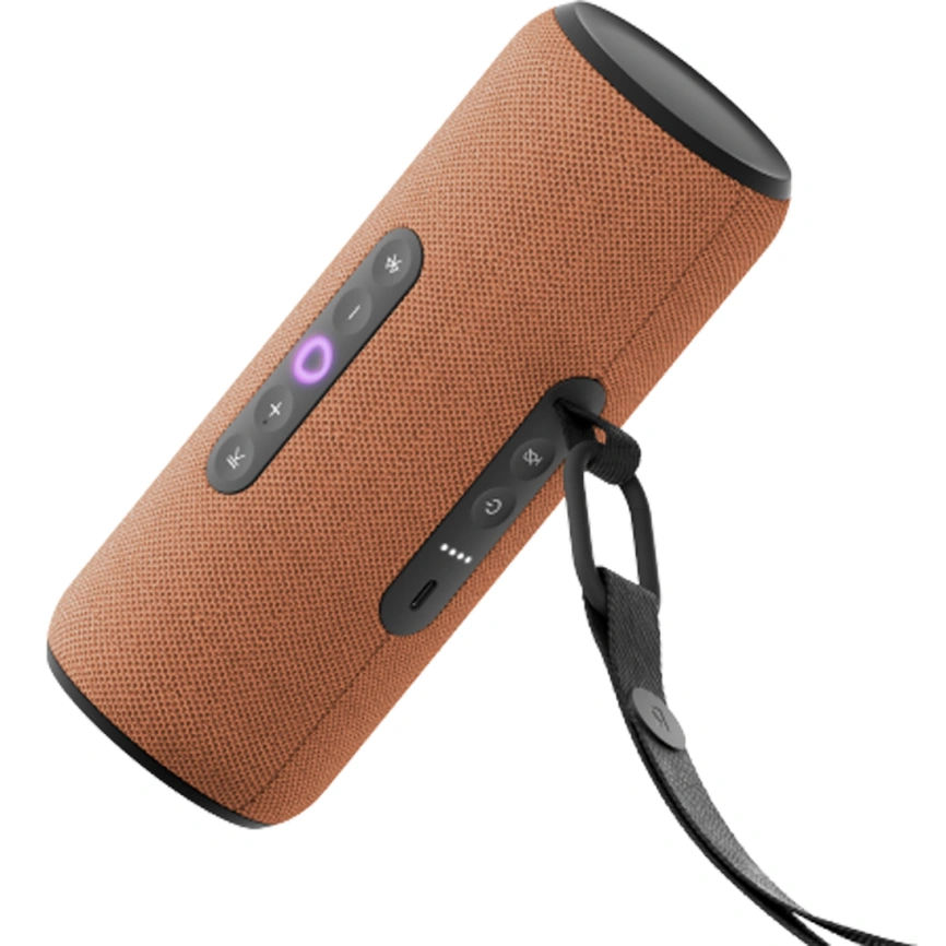 Портативная колонка Яндекс Станция Стрит Оранжевый фото 1