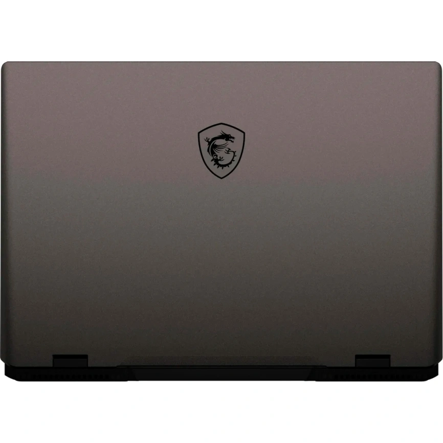 Ноутбук MSI Sword 17 HX B14VGKG-048XRU 17 QHD IPS/ i9-14900HX/16GB/1TB SSD (9S7-17T214-048) Gray фото 5