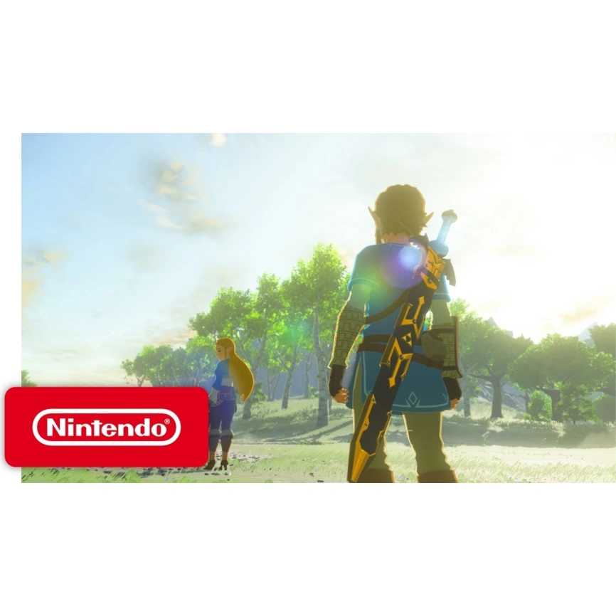 Игра Nintendo The Legend of Zelda: Breath of the Wild (Русская версия) (Nintendo Switch 2) фото 5