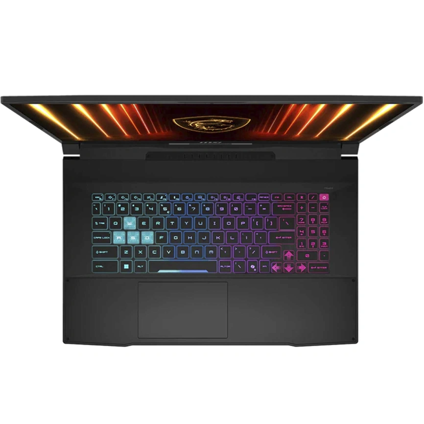 Ноутбук MSI Katana 17 HX B14WFK-276XRU 17.3 IPS/ i7-14650HX/32GB/1TB SSD (9S7-17L791-276) Black фото 5