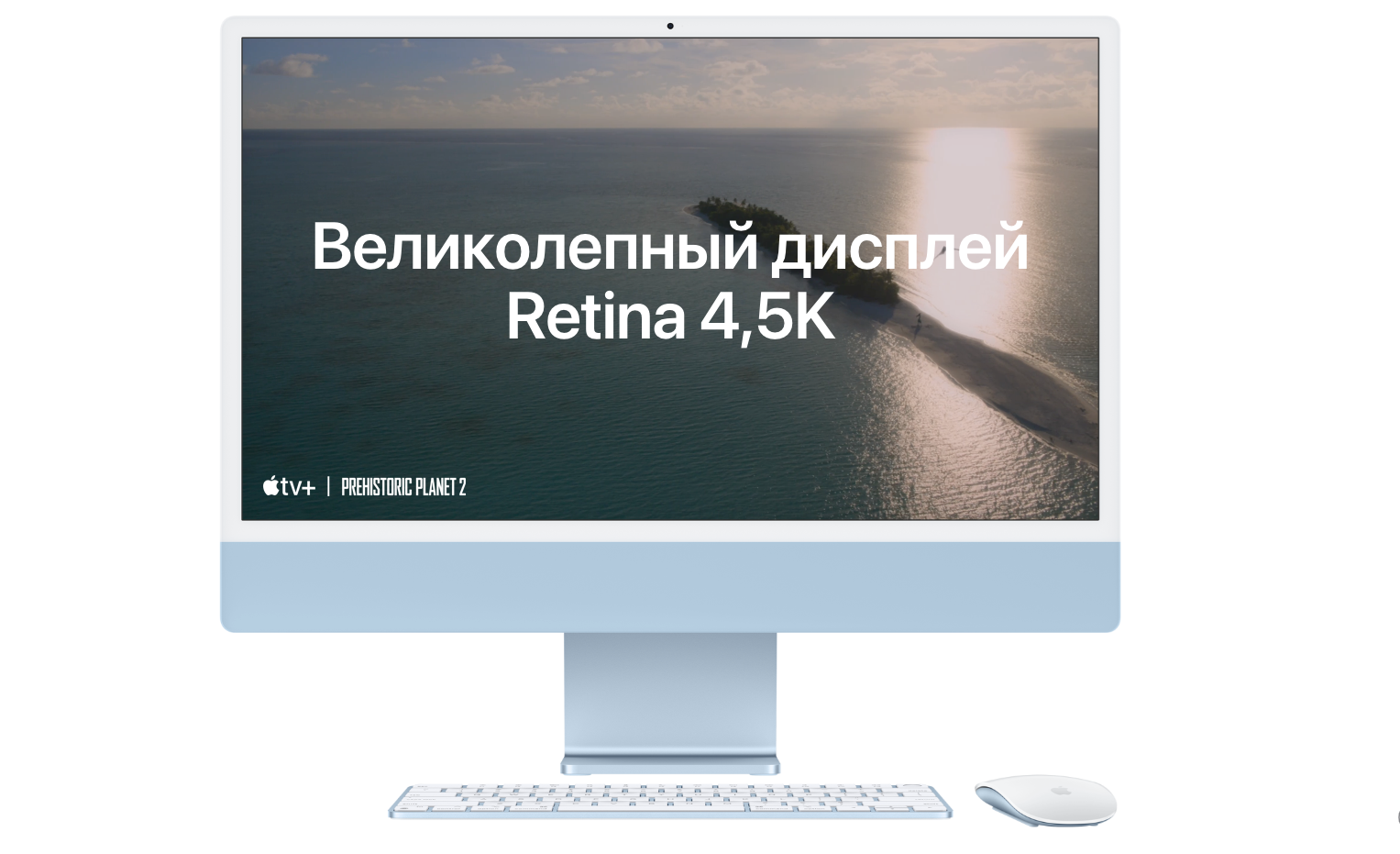 Снимок экрана 2024-01-27 в 23.43.21